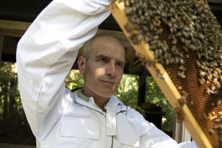 Bekijk afbeelding van  op Het verhaal achter de honing van Zonder Meer van Zonder Meer
